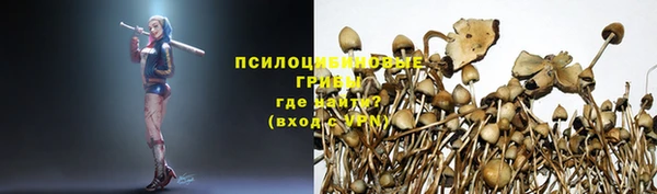 гидра Абаза