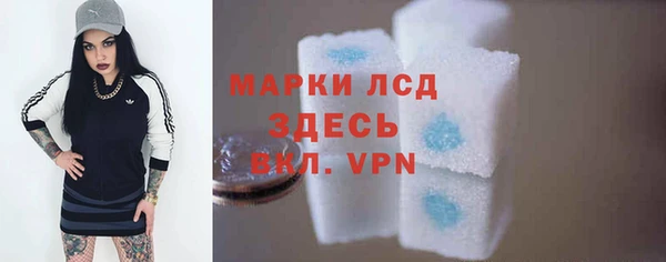 гидра Абаза